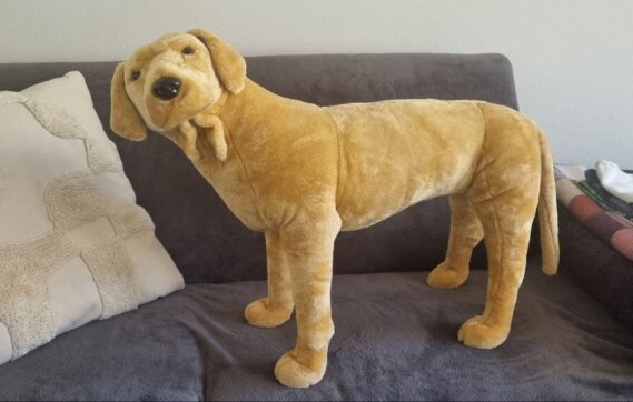 Hundedummy zum üben der Verbandstechnik